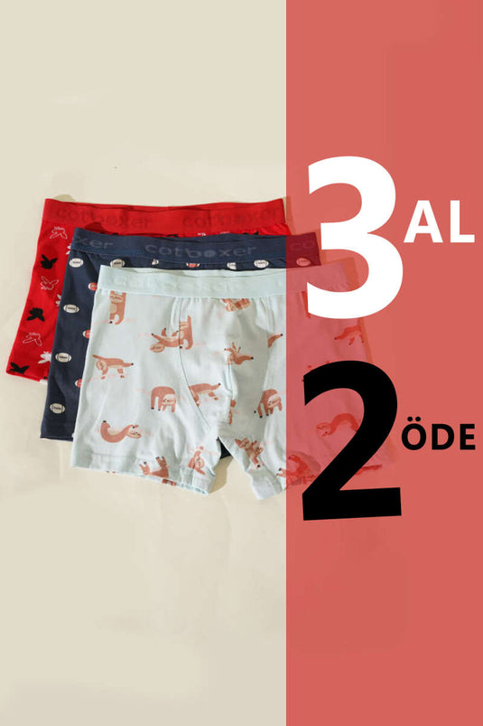 Cotboxer 3'lü Likralı Empirme Boxer Asorti 3