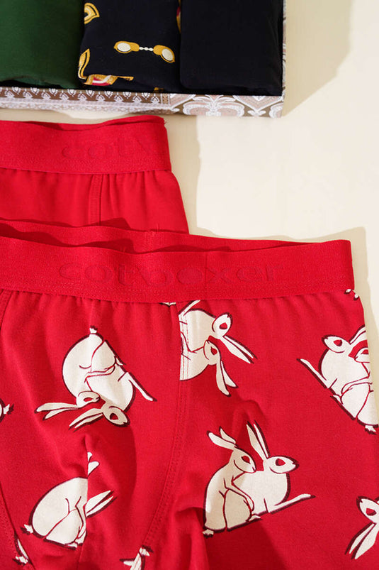 Cotboxer Printed 2-Pack Men's Boxer Assortment 2