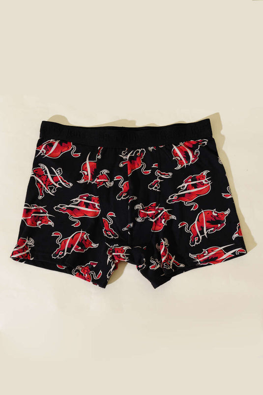 Empirme Erkek Boxer Asorti 1