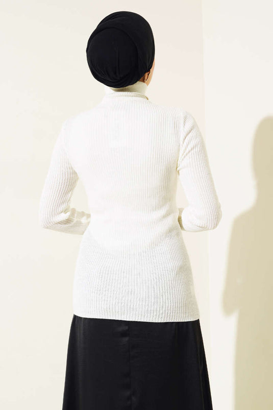 Ribbed Turtleneck Knit Sweater (Bone)