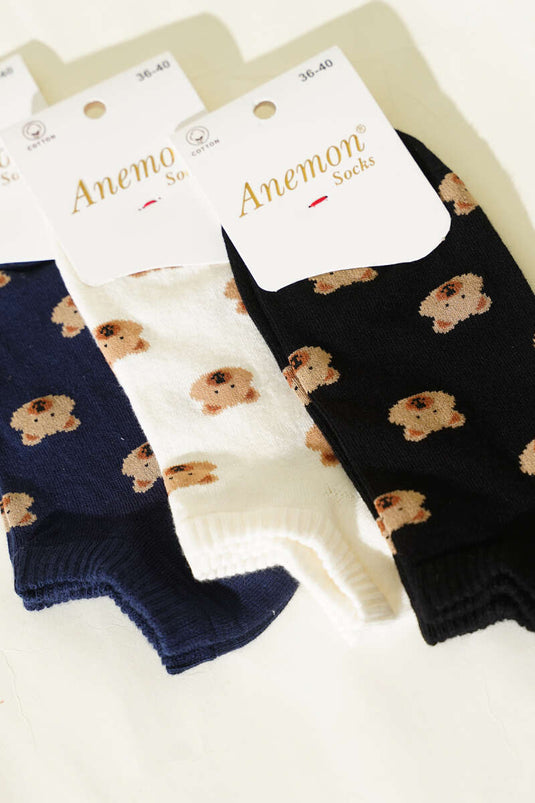 Women's Set of 3 Patterned Cotton Knit Foot Socks Assorted 6