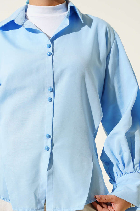 Button-down, darted shirt, blue.