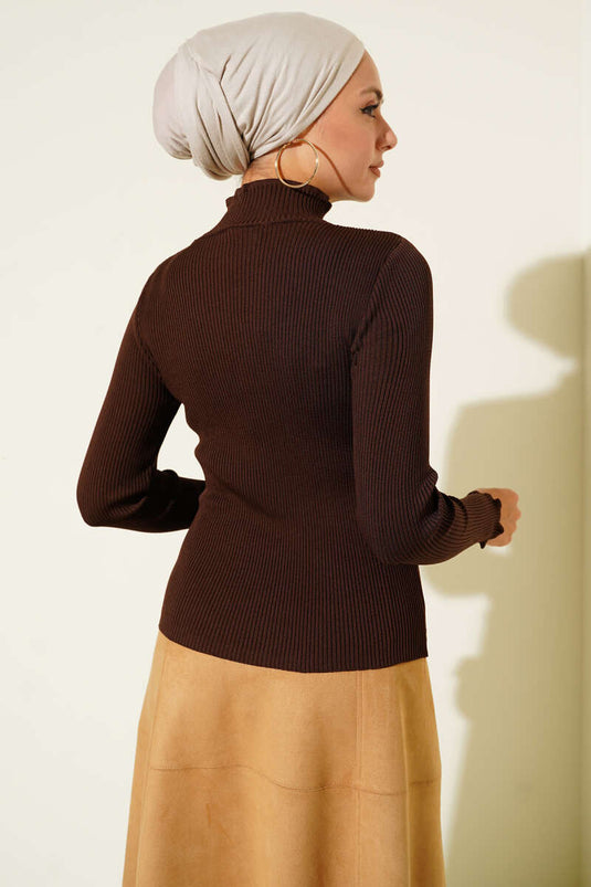 Half Turtleneck Turtleneck Sweater Brown