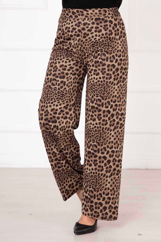 Buy Elastic Spotted Pants -3