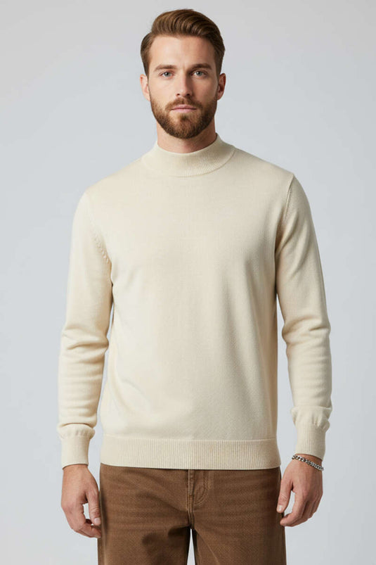 Pull homme basique en tricot à col montant pierre