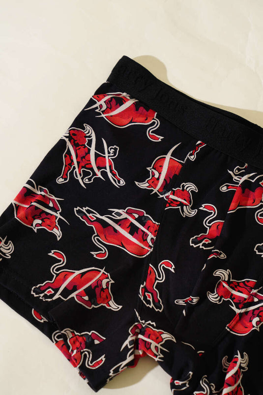 Empirme Erkek Boxer Asorti 1