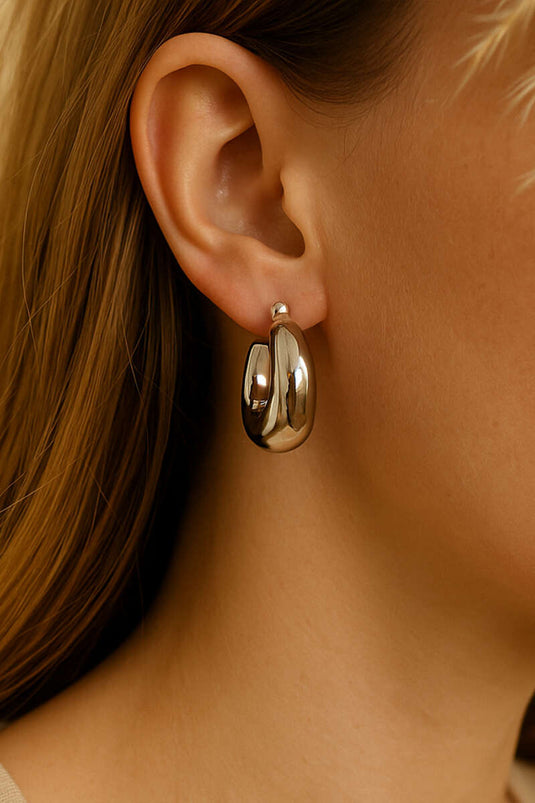 Crescent Model Earrings Silver